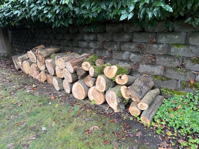 Neatly stacked cut logs along a retaining wall showing thorough cleanup